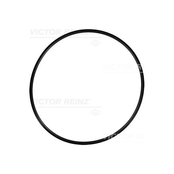 Reinz Oil Pump O-Ring, 40-76378-00 40-76378-00 - main